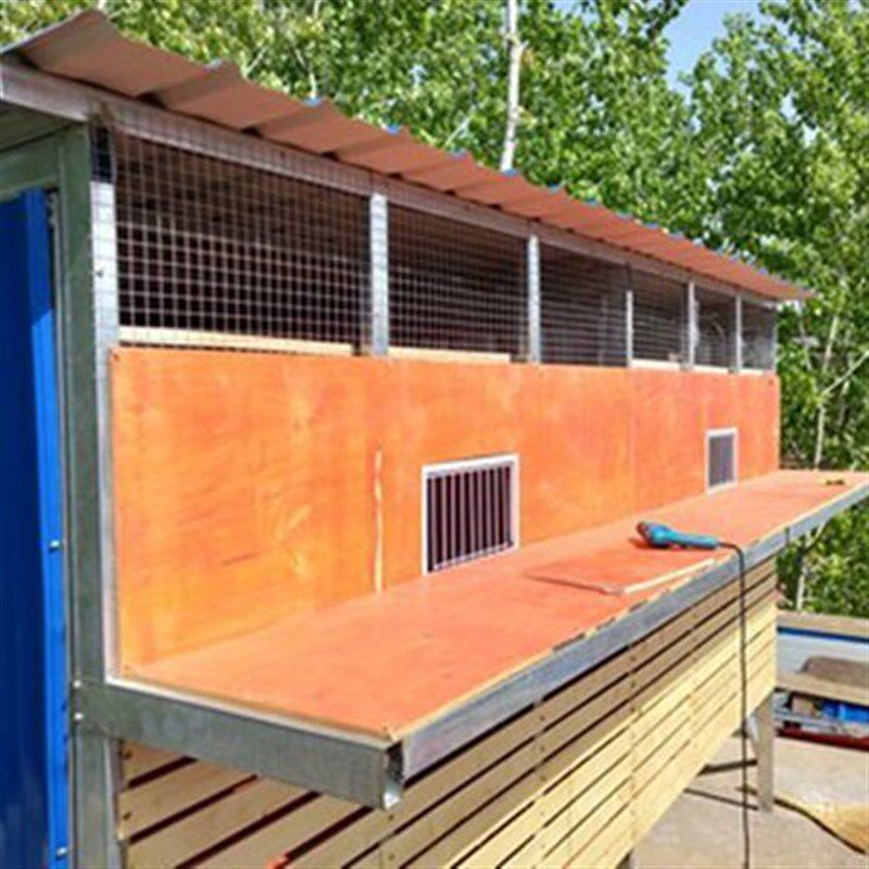 新疆包邮鸽子活络门加密撞门进笼口跳笼门信鸽鸽具鸽子用品用具加