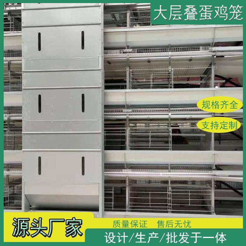 H全自动立式大层叠自动喂料集蛋清粪鸡笼子现代化养殖场鸡笼设备