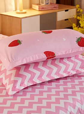 2/3 pcs Cartoon Print Duvet Cover Bedding Set With Pillowca