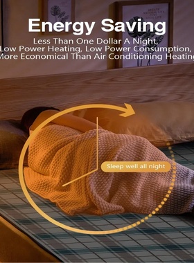 110V / 220V Electric Blanket Smart Control Heated Blanket T