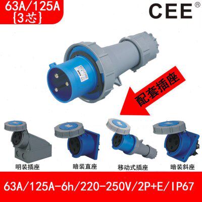 CEE63A220V防水插头检修箱插座125A公母对插TYP-0332/3332/2332