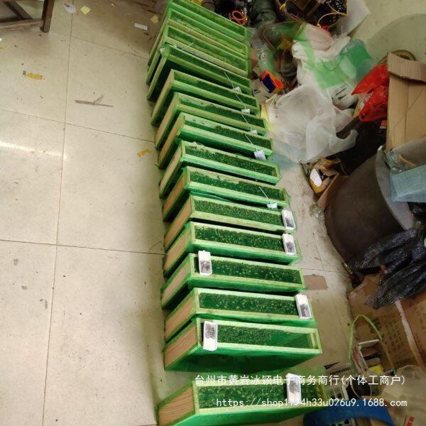 中蜂种蜂群活体带王带子脾出售笼蜂土蜂蜂子蛋群  中华小蜜蜂活群