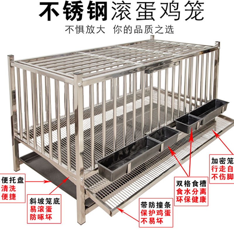 不锈钢鸡笼自动滚蛋鸡笼多层笼子家用养殖下蛋鸡母鸡笼特大号鸡舍