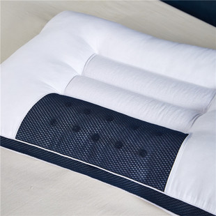 枕头枕芯荞麦枕床上用品枕心单双人学生宿舍48x74cm一对拍2整头芯