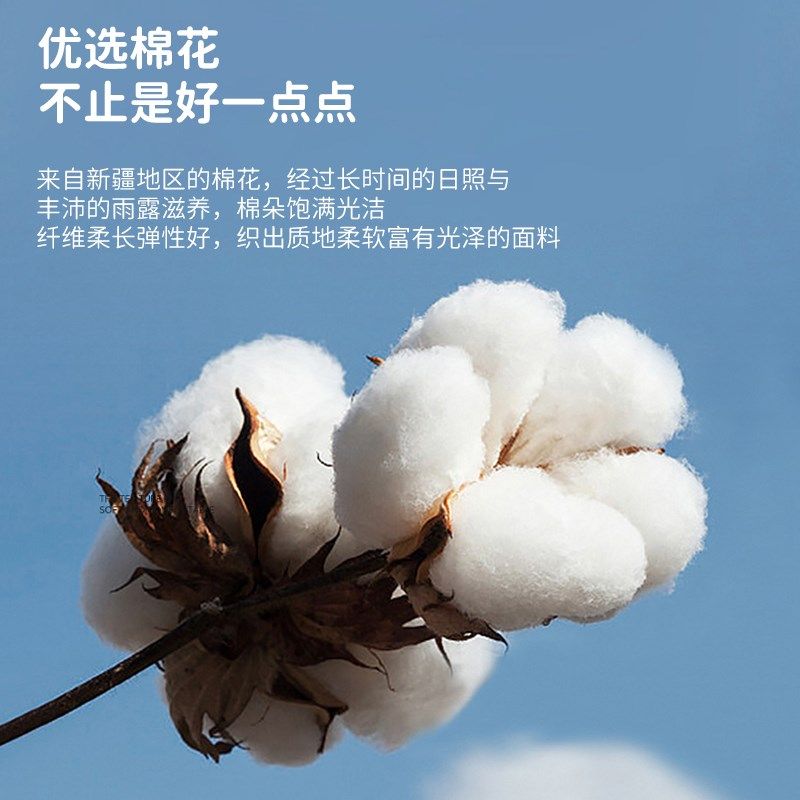 纯棉被单150x200米180x200m2米x2米床子母全棉加厚床单大尺寸定制