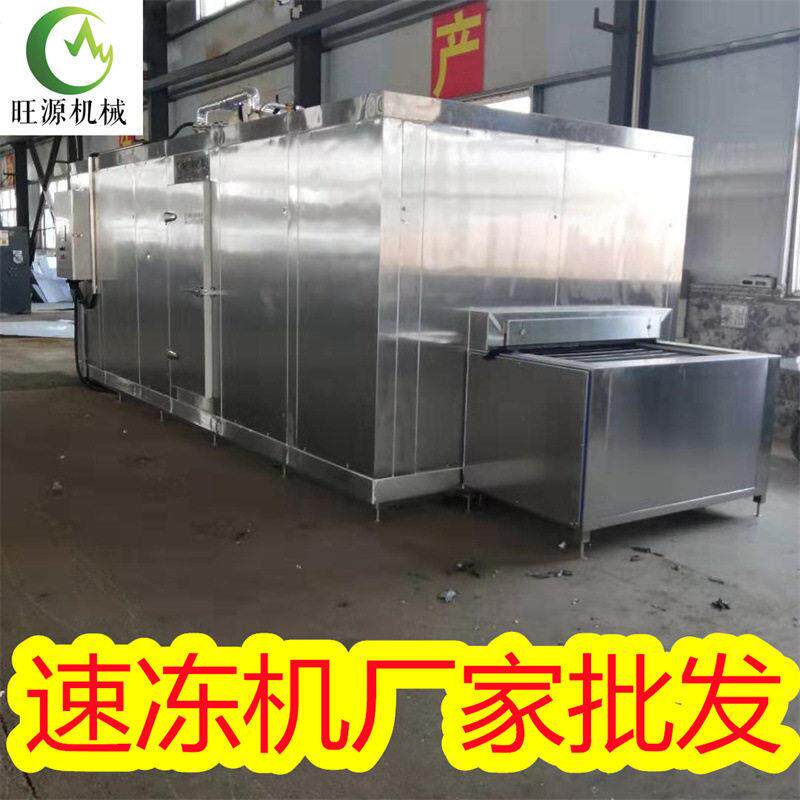 旺源不锈钢低温速冻设备 果蔬切割分选流水线 青蚕豆冷冻机器