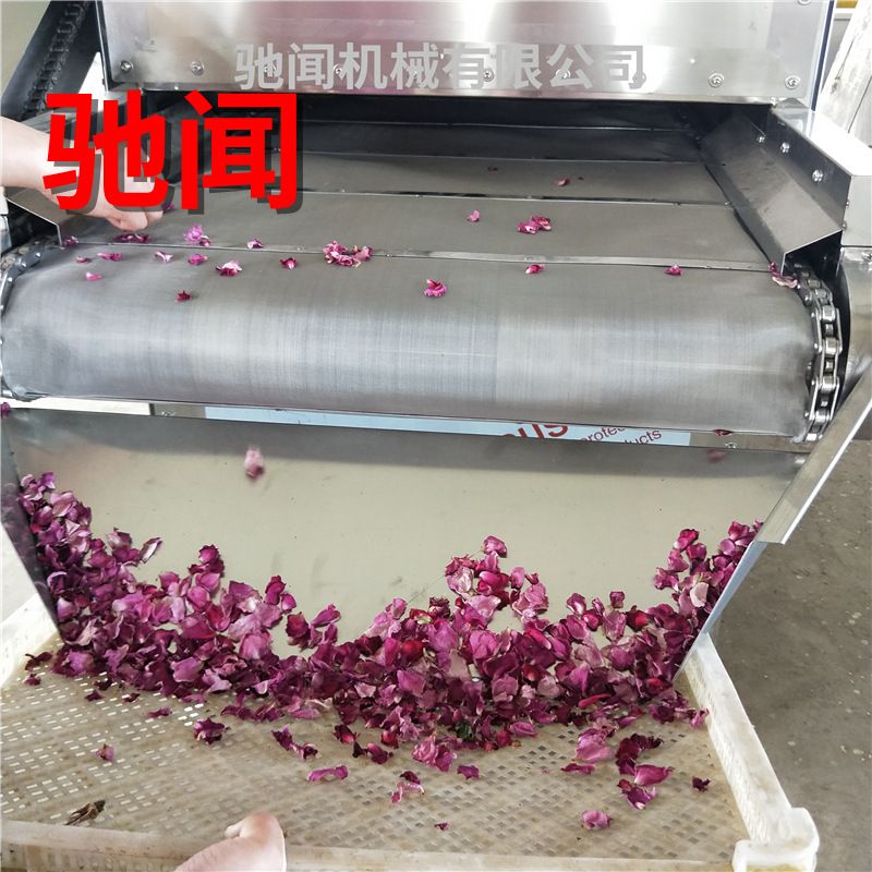定制黑水虻连续式烘干机 商用蝇蛆烘干设备 虫子昆虫烘干箱房包邮