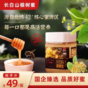 森工集团长白山椴树蜜高档罐装纯正天然正宗东北长白山黑蜂蜂蜜