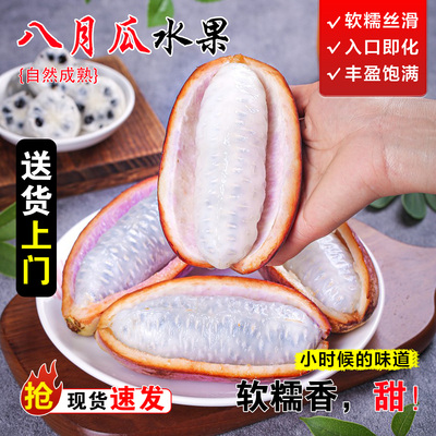 八月瓜新鲜水果八月炸贵州当季生鲜现摘新鲜香瓜应季麻藤包甜瓜
