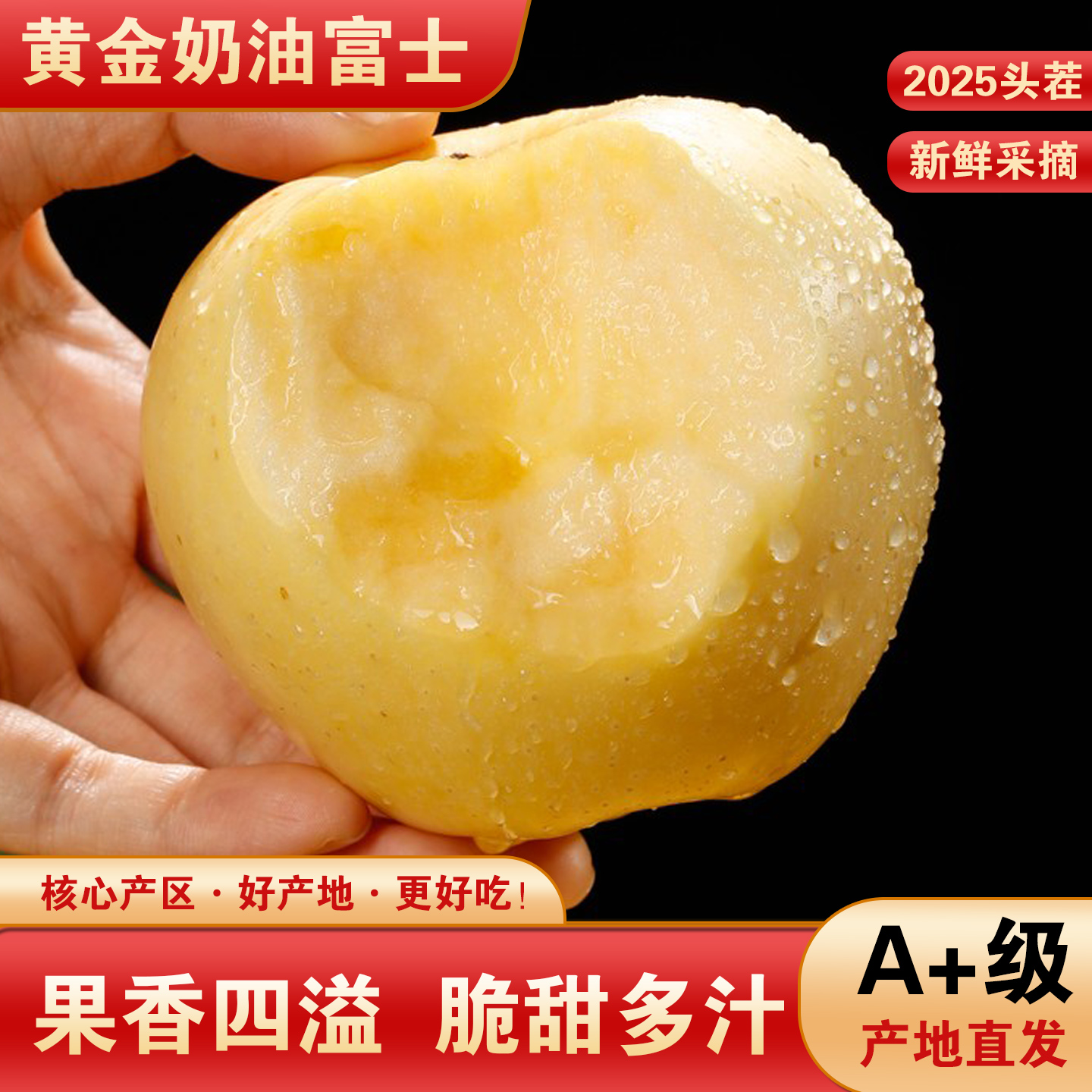 山东正宗烟台黄金奶油富士苹果