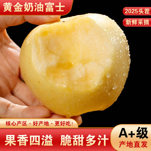 山东正宗烟台黄金奶油富士苹果