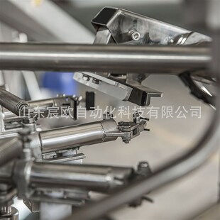 面粉给袋机 给袋式 预制袋给袋机 颗粒包装 套袋包装 包装 机