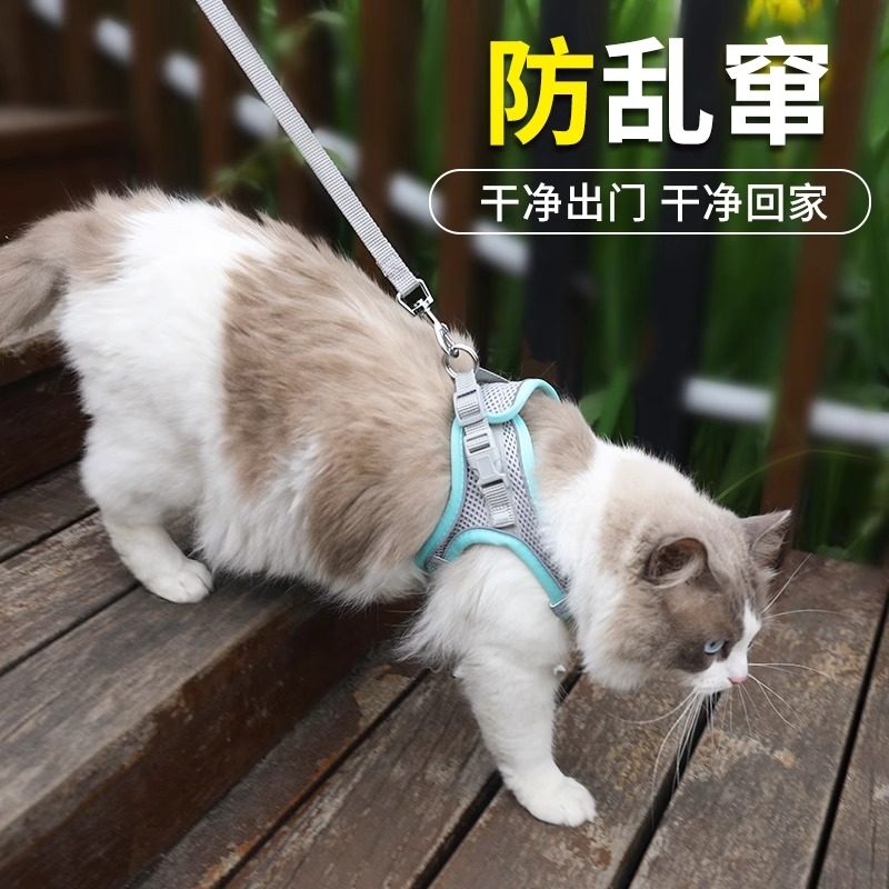 Fivetails猫咪牵引绳防挣脱轻透不勒胸背幼猫小型犬外出牵引绳,宠物/宠物食品及用品,猫牵引绳,淘宝优惠券,粉丝福利购,淘宝优惠卷