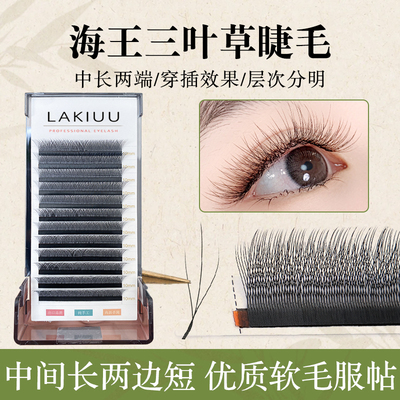 海王三叶草嫁接睫毛自动开花自然