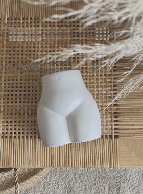 伊甸园瓶 白色陶瓷瓶 蒲扇叶兔尾草干搭配