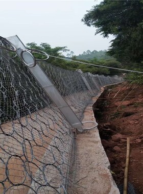 RXI-200型被动防护网 重庆RXI-100型被动防护网