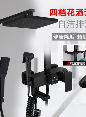 黑色冷热水淋浴花洒套装 欧式磨砂哑光自洁M淋浴花洒 全铜主体龙