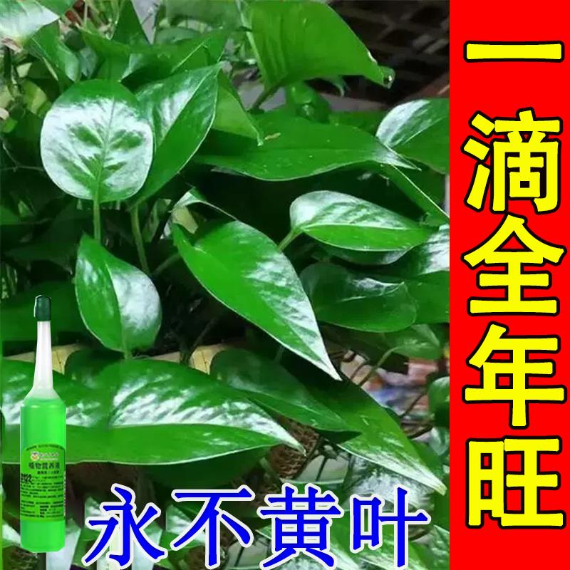 营养液植物通用型花肥盆栽花卉绿萝富贵竹发财树水培家用养花肥料