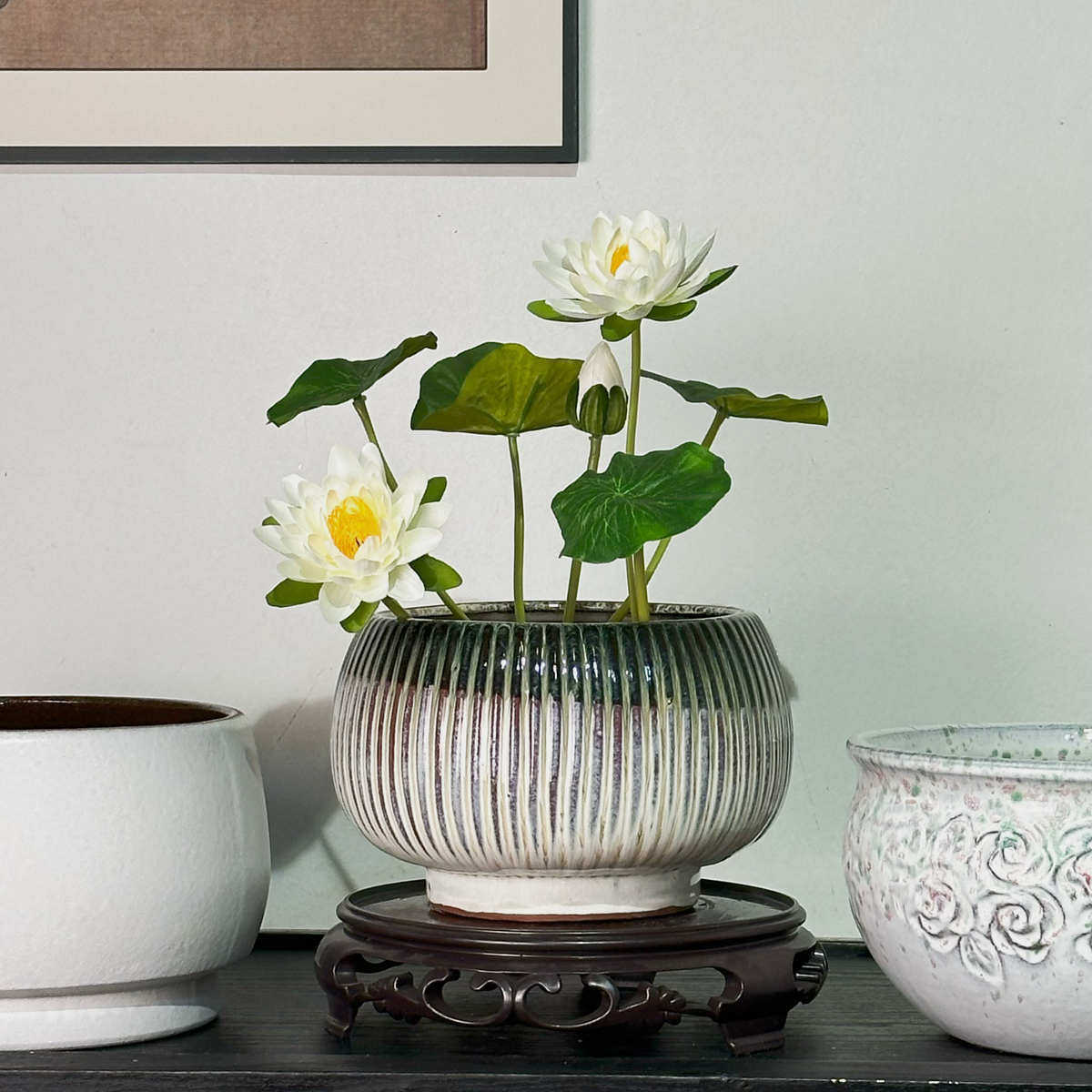 多款无孔盆碗莲大号花盆陶瓷鱼缸睡莲荷花水生植物莲花水容器培