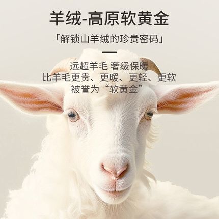 德绒秋衣秋裤保暖内衣套装男款加厚加绒美肤衣青少年棉毛衫老年人