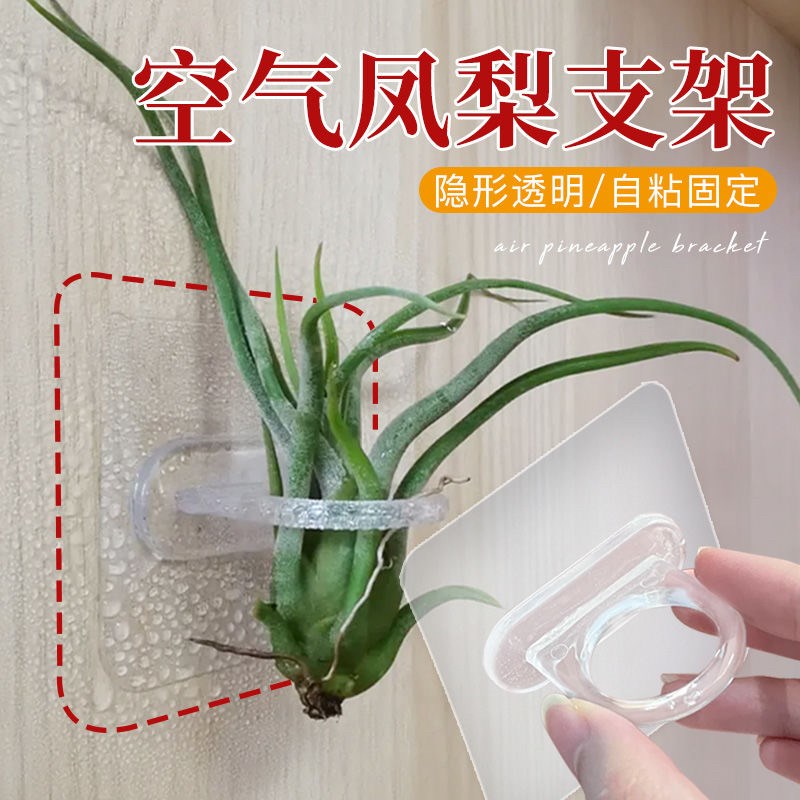 空气凤梨支架花盆花架配饰冰箱贴装饰自粘贴支架底座透明固定神器