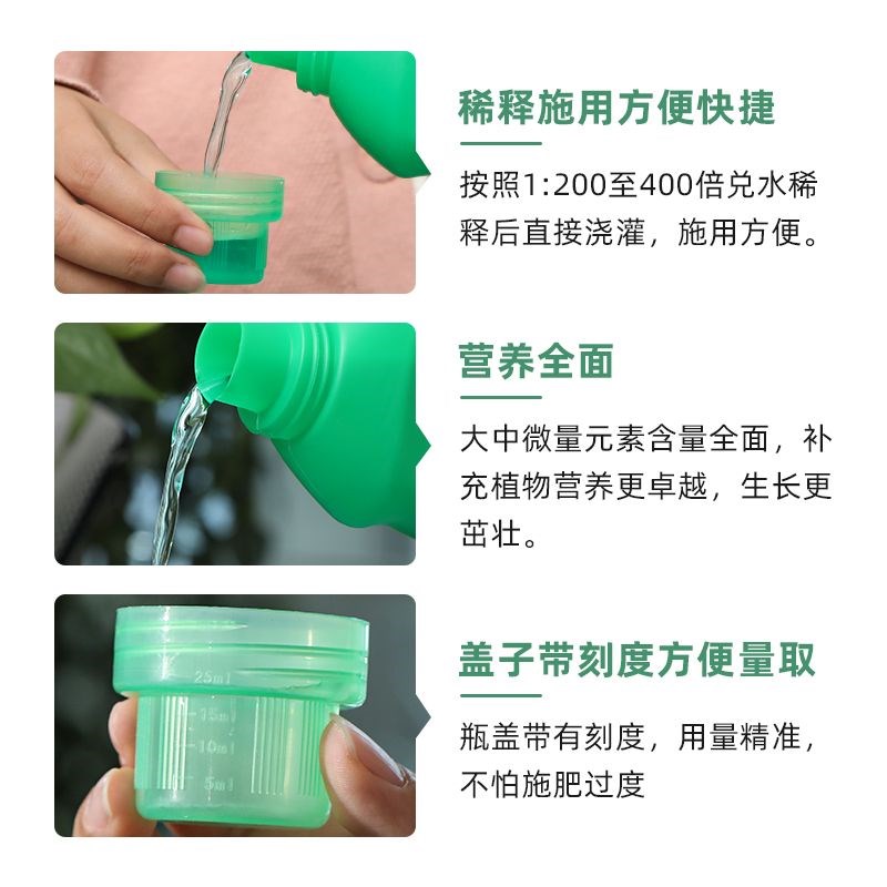 蓬莱松专用营养液预防叶子发黄改善黄叶落叶烂根促生根园艺肥料