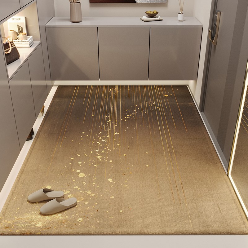 入户门地垫现代高级感耐脏除尘防滑脚垫玄关室内家用免洗进门地毯
