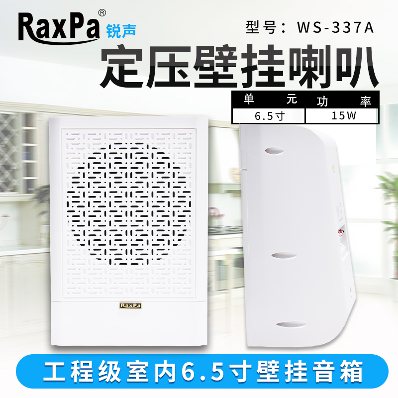 定压超薄壁挂墙面广播喇叭4寸5寸6.5寸会议音箱学校店铺商场挂壁