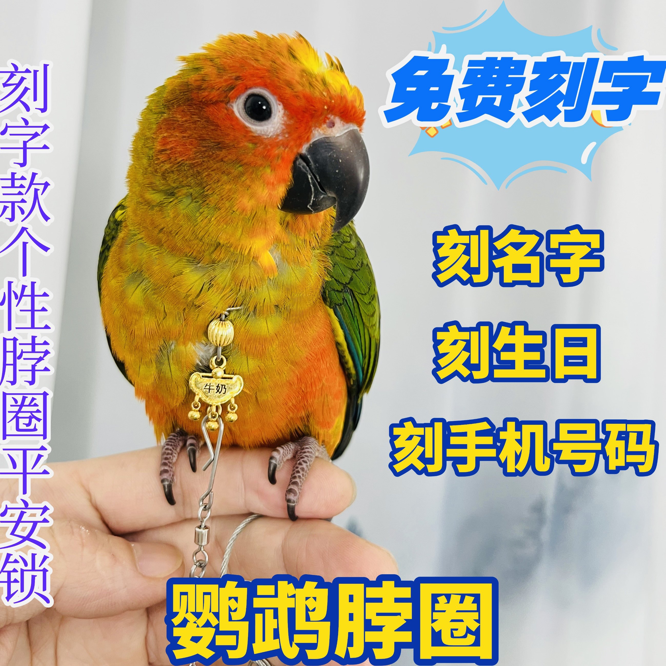 刻字鹦鹉脖套玄凤小太阳和尚金太阳鹦鹉脖圈栓鸟遛鸟放飞脖圈