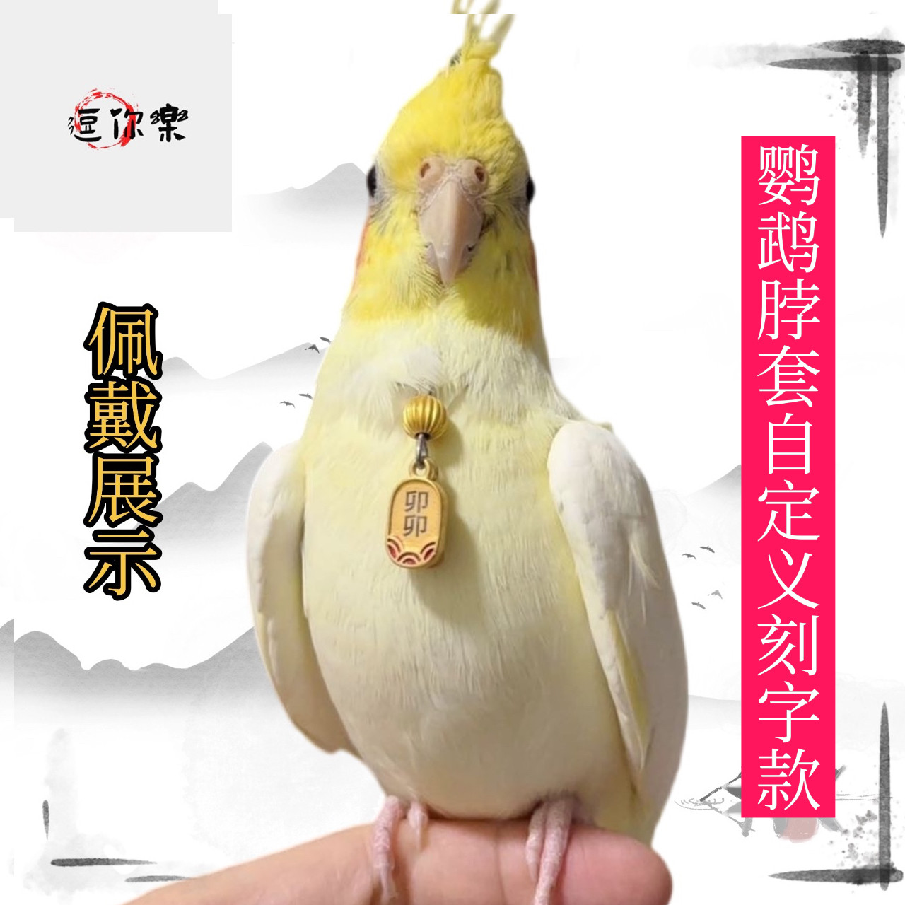 玄凤鹦鹉脖套定制刻字款和尚小太阳牡丹虎皮鹦鹉遛鸟放飞绳脖圈