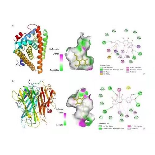 分子对接方法:autodock薛定谔 moe 金属离子.供价,柔性分子对接