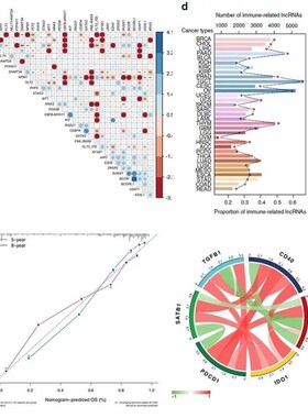 生信分析代做服务SCI2-5辅导单细胞测序转录组数据r语言个人工作
