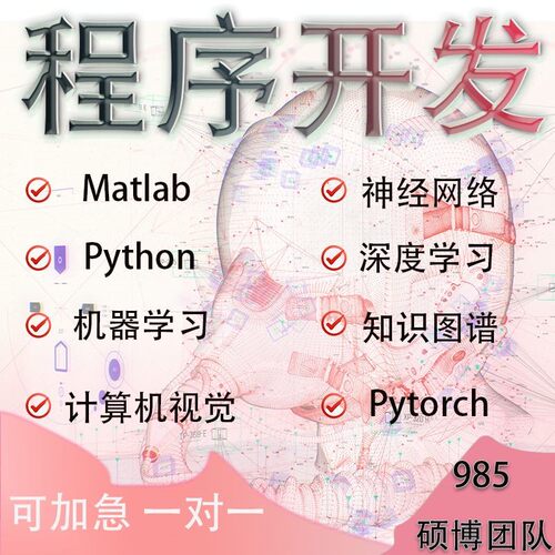 python代码编程matlab帮做算法优化复现深度强化学习创新路径规划