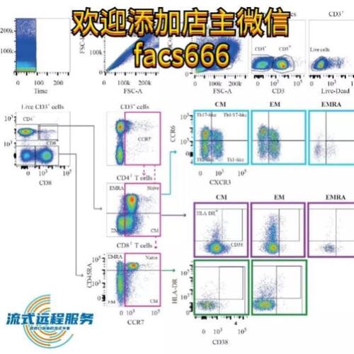 生信分析服务TGGA数据挖掘GEO网络药理学单细胞测序空间转录组急