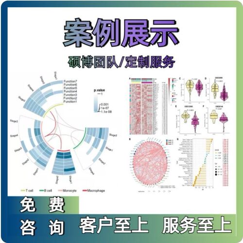 生信分析服务TCGA GEO数据库挖掘细胞测序转录组分析多组学分析
