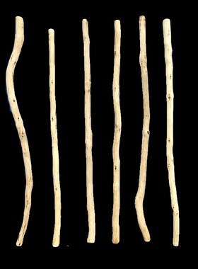 服装店干树枝吊架挂衣架展示架吊顶悬挂架晾衣杆原木简约橘子树枝