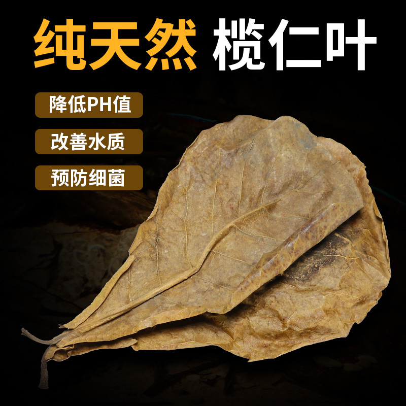 斗鱼原生缸水族天然榄仁叶降低鱼缸PH值降酸调节改善水质懒人叶