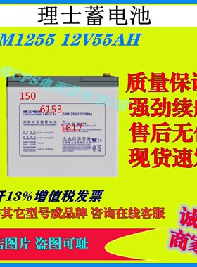 理士蓄电池DJM1255 12V55AH电梯消防主机UPS电源免维护阀控式机房