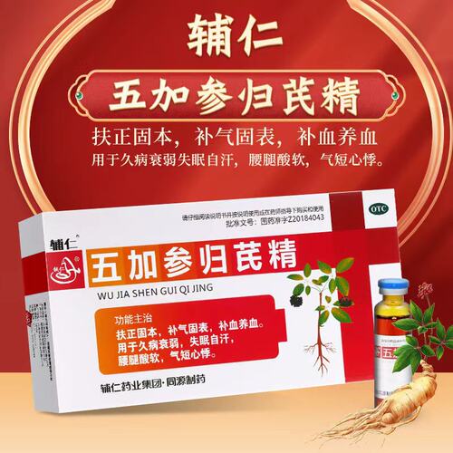 【辅仁】五加参归芪精10ml*10支/盒
