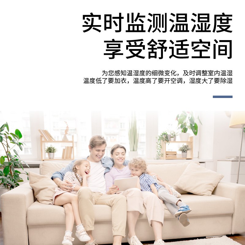 高精度温湿度计家用室内迷你温度计家用婴儿房壁挂室温精准温度表