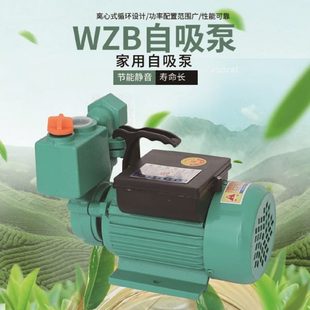 增压泵 WZB 自吸泵 抽水泵 高扬程太阳能增压泵 750W 铜线 家用