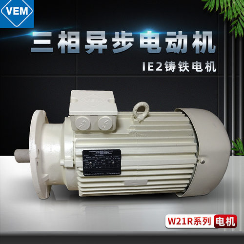 德国VEM电动机三相异步感应铸铁马达IE2立式W21R112MV6交流2.2KW