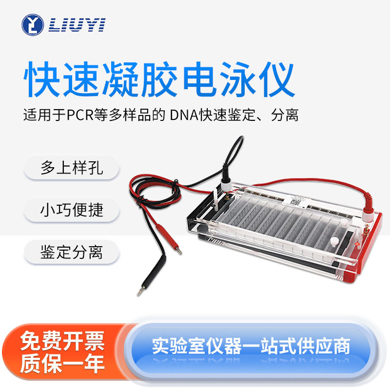 北京六一实验室快速凝胶电泳仪DYCP-44N电泳槽可用8道移液器加样