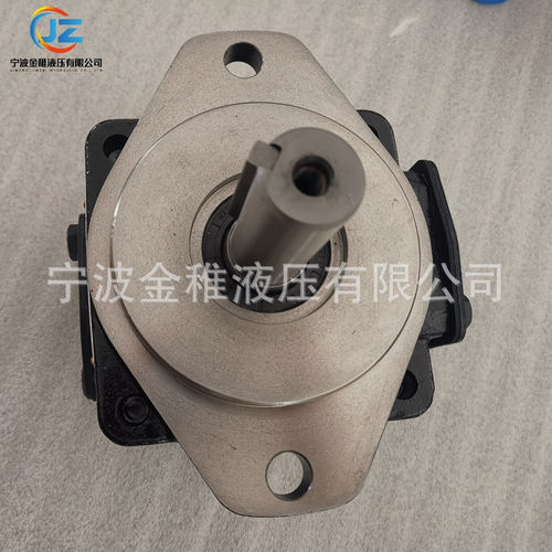 叶片泵 T6D-045-1R00 -B1  船舶工业用液压泵