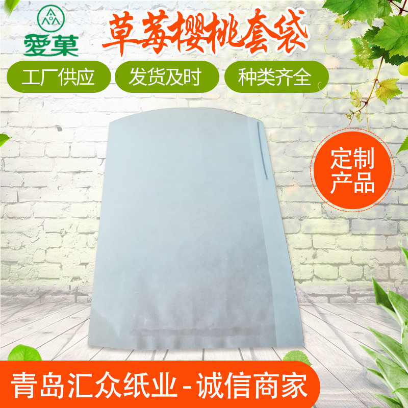 厂家生产纸袋 水果套袋 樱桃草莓套袋 防水防尘套袋批发