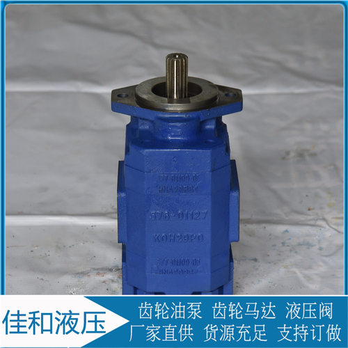 钻机液压泵液压配件正远双联泵P124-G25085LD54