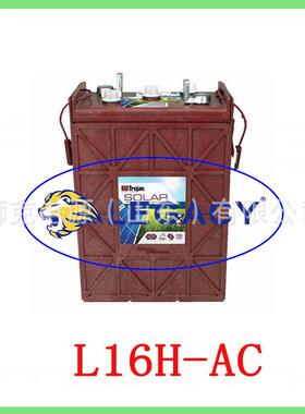 Trojan邱健蓄电池T-1275T-875T-145T-125T-105J305PL16H