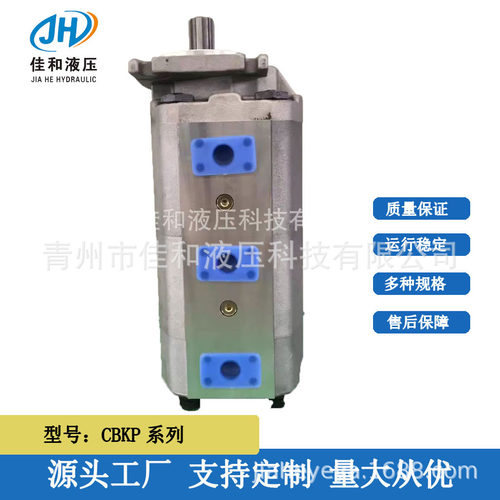 合肥长源齿轮泵CBKP80/40BFLCBF-F425机械工程用油泵佳和液压