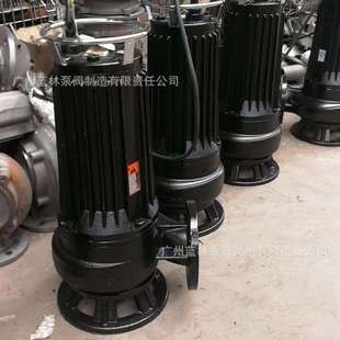 AS潜水排污泵撕裂式 污水污物潜水泵化粪池专用广州蓝林制造