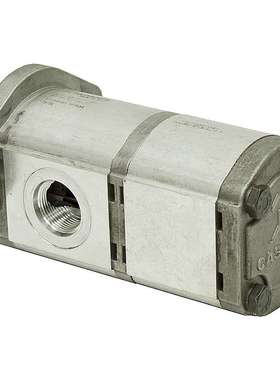 价格需核实  CASAPPAPUMP KP30.61-67/20.14 S